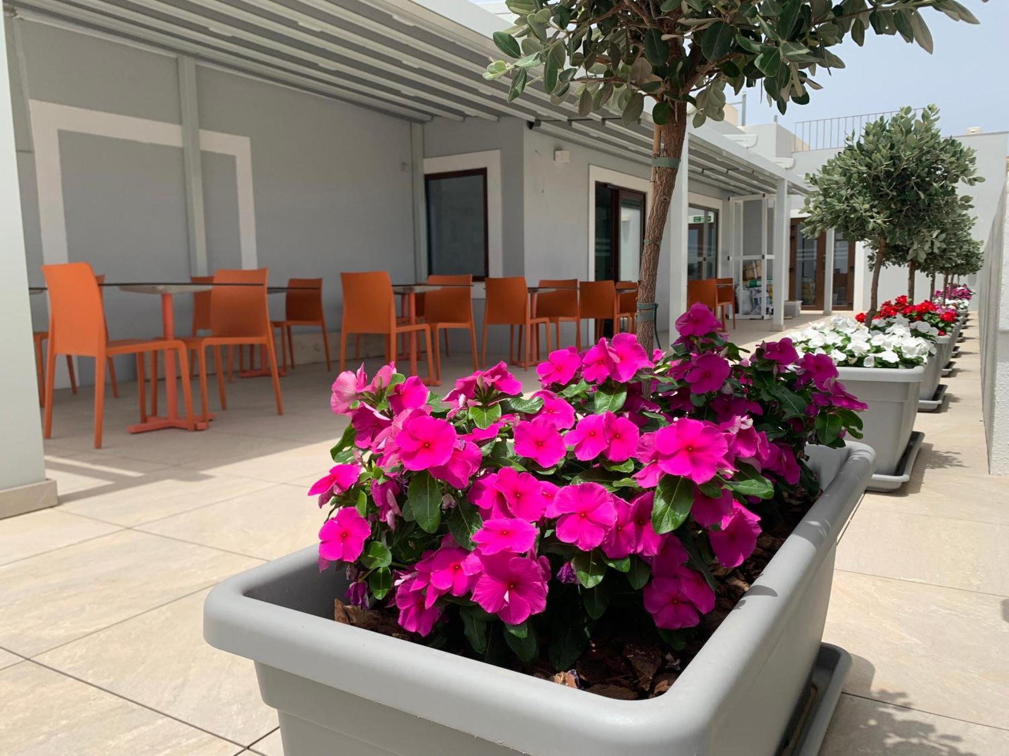 Duncan Guesthouse Marsaxlokk Eksteriør billede